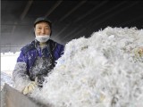 廢舊塑料的處理怎樣才能利潤最大化？